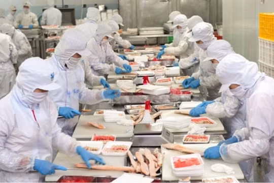 Thuỷ sản Nam Việt (ANV): Lãi quý 2 giảm 26%, dòng tiền kinh doanh âm nặng