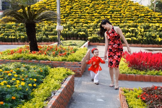 Mùng 2 Tết, cả 3 miền thời tiết ấm áp, thuận lợi cho người dân đi chúc Tết, vui Xuân