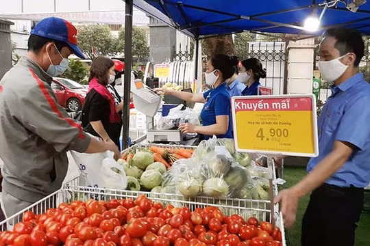 Bộ NN & PTNT: Lập Tổ công tác chỉ đạo sản xuất, kết nối cung ứng tiêu thụ nông sản phía Nam