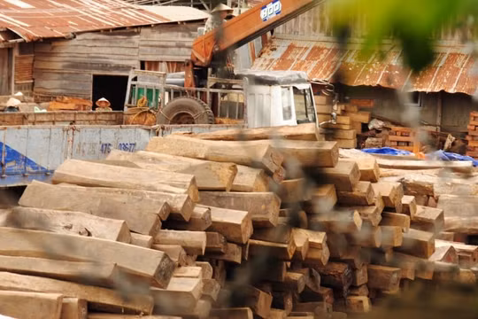 Kỷ luật nhiều cán bộ tại Cục Thi hành án dân sự tỉnh Đắk Lắk
