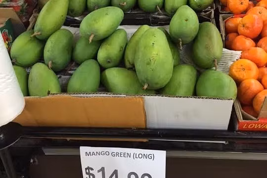 Xoài xanh Việt Nam bán gần 300.000 đồng/kg khi "bay" sang Australia