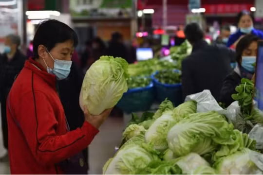 Giá rau Trung Quốc tăng vọt 30,6%