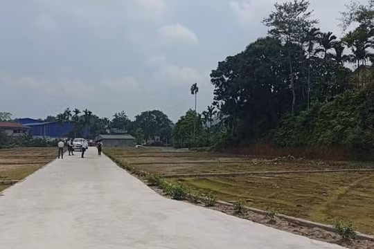Luật Đất đai, càng sửa càng bí, nhưng không sửa “sốt” đất lại hoành hành