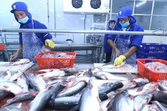 Luật Bảo vệ môi trường 2020: Không đánh đổi môi trường lấy phát triển kinh tế bằng mọi giá