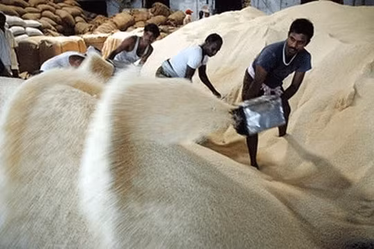 Sau nhiều thập kỷ, Việt Nam lần đầu mua gạo của Ấn Độ