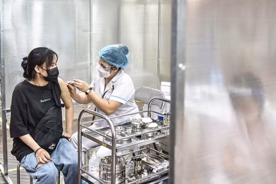 Bộ Y tế cấp cho Hà Nội 1 triệu liều vắc xin Vero Cell của Sinopharm