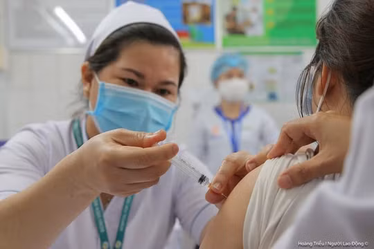 Cho phép tiêm trộn vắc xin AstraZeneca, Pfizer và Moderna