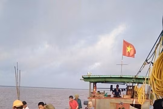 Hải Phòng: Người nuôi ngao “kêu cứu” vì doanh nghiệp khai thác cát