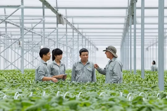 Tổng kết 20 năm đổi mới, phát triển kinh tế tập thể một cách thực chất, tránh hình thức