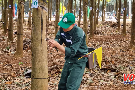 Hội Nhà báo TP HCM phối hợp phát động Giải báo chí viết về Ngành cao su lần I năm 2021