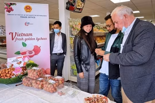 Tổng cục Thống kê: Nông sản Việt Nam đã “lột xác” để khẳng định mình trên thị trường thế giới