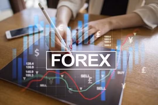 Đầu tư Forex: "Trứng hay vịt khôn hơn?"