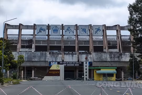 Đình chỉ giám đốc, phê bình lãnh đạo vì để nhiều cầu thủ bóng đá mắc Covid-19