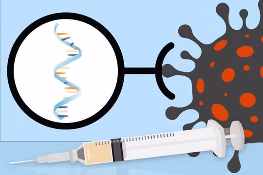 Không chỉ ngăn COVID-19, công nghệ mRNA làm được nhiều hơn mong đợi