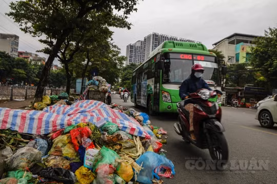Từ 1/1/2022, cá nhân không phân loại rác sẽ bị từ chối thu gom