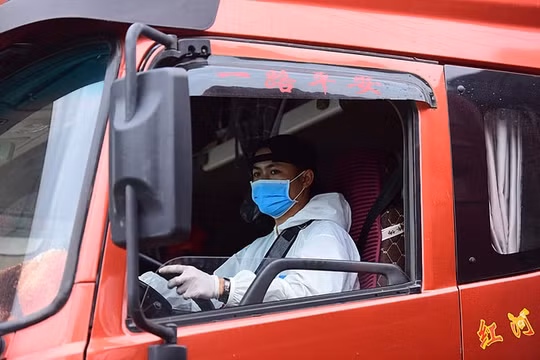 Thiếu hụt lái xe, việc vận chuyển nông sản tại các tỉnh phía Nam gặp khó khăn