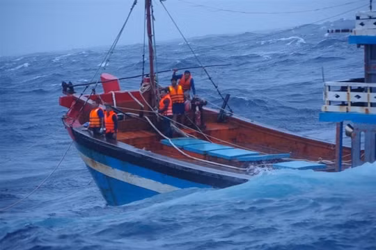 Quảng Nam: Xuyên đêm cứu 13 người trên tàu kéo sà lan gặp sự cố khi vào đảo Lý Sơn trú bão