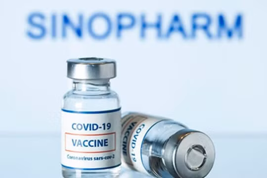 Tiền Giang đề xuất mượn TP.HCM 500.000 liều vaccine Vero Cell