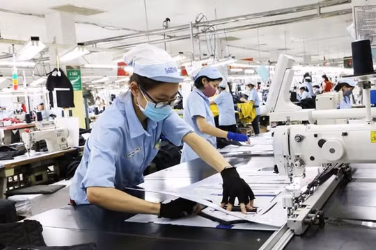 Gỡ khó cho doanh nghiệp trong kiểm tra chuyên ngành