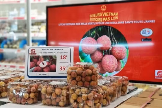 Vải thiều Việt xuất khẩu sang Pháp: Giá gần 500.000 đồng/kg vẫn “cháy hàng”