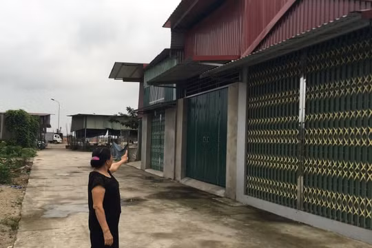 UBND phường Phù Khê "hậu thuẫn" phân lô đất nông nghiệp, lập chợ buôn bán gỗ trái phép?