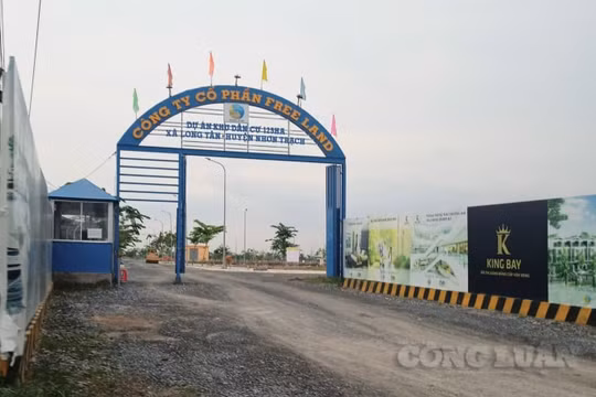 Đồng Nai tiếp tục xử lý việc giao đất đợt 5 đối với dự án King Bay của Công ty Free Land