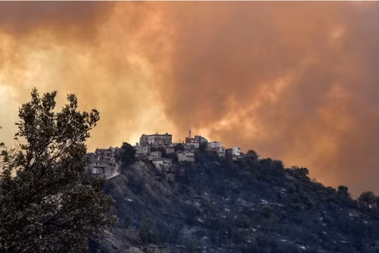 Hơn 40 người thiệt mạng do cháy rừng ở Algeria
