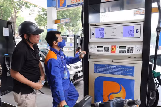 Kỳ điều chỉnh ngày 11/8: Giá xăng đứng yên, giá dầu cắm đầu đi xuống