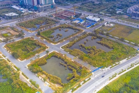 Nghe chuyên gia tiết lộ tuyệt chiêu “thả con săn sắt bắt con cá rô” khi đấu giá