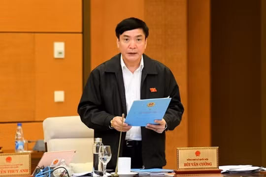 Một số văn bản quy phạm pháp luật có dấu hiệu chưa bảo đảm tính hợp pháp