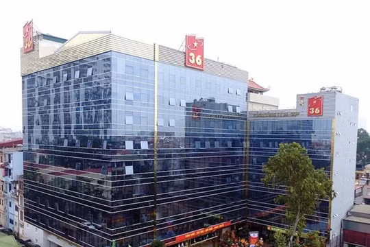 Kinh doanh lỗ ròng, lãnh đạo và cổ đông lớn Tổng công ty 36 (G36) tranh thủ thoái vốn