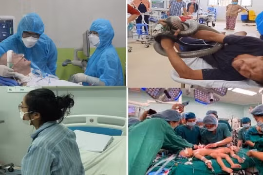 5 ca bệnh gây xôn xao dư luận nhất trong năm 2020