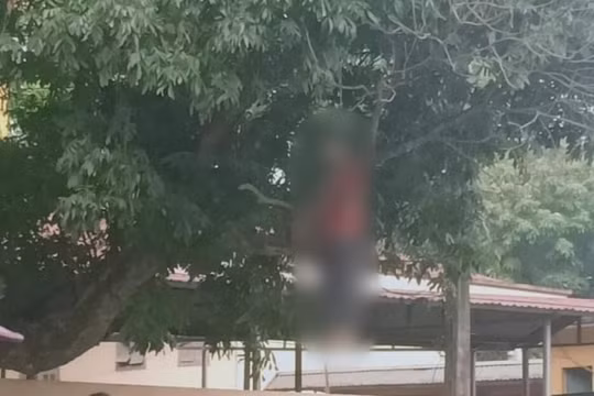 Hoà Bình: Tá hoả phát hiện thi thể người đàn ông treo cổ trên cây