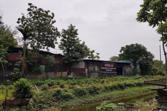 Bài 3: UBND quận Hà Đông “truy” trách nhiệm trong việc chậm xử lý vi phạm!