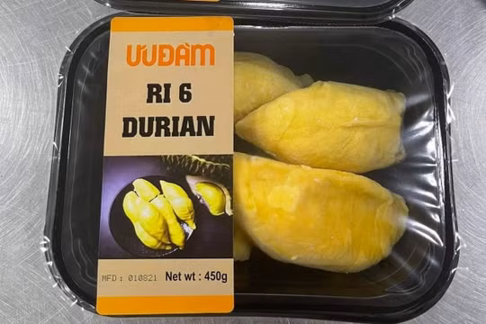 Có giá 340.000 đồng/kg, sầu riêng Việt Nam vẫn "cháy hàng" sau vài giờ vào Úc