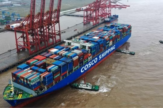 Hai cảng biển “khủng” nhất Trung Quốc phải tạm dừng hoạt động bởi bão lớn