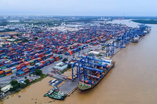 Tổng cục Hải quan cho phép giải phóng hàng hoá ùn tắc tại cảng Cát Lái