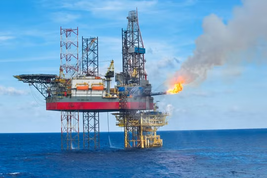SSI Research dự báo lợi nhuận của PVDrilling giảm một nửa do đối tác nộp đơn xin phá sản