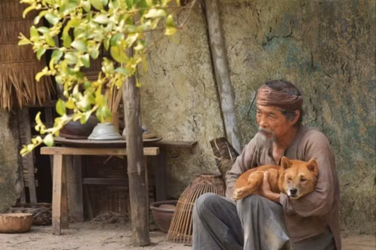 Phim Việt thất bại: Vì chưa chạm tới trái tim khán giả