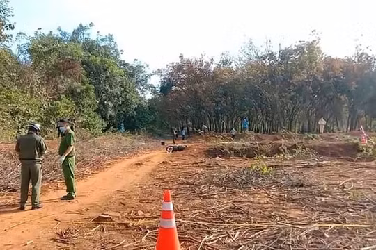 Bình Phước: Phát hiện nữ công nhân bị sát hại trong khu cao su
