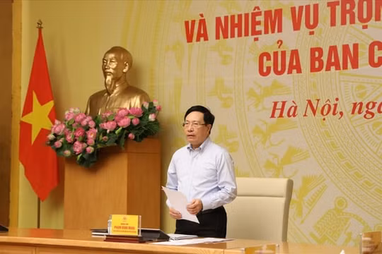 Phó Thủ tướng Thường trực Phạm Bình Minh: Có bảo kê của một số người có trách nhiệm cho buôn lậu