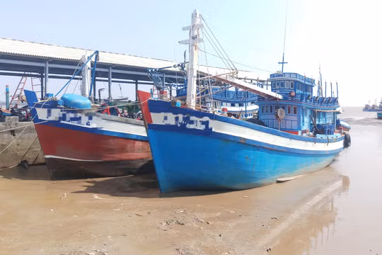 Cà Mau: Kiểm soát chặt các phương tiện ra vào tỉnh bằng đường biển
