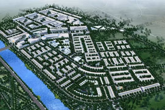 Phán quyết của tòa đang phương hại đến quyền lợi của doanh nghiệp?