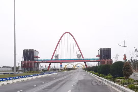 Quảng Ninh: Sẽ xử lý‎‎ cán bộ liên quan đến việc doanh nghiệp đổ đất lấn chiếm mặt biển
