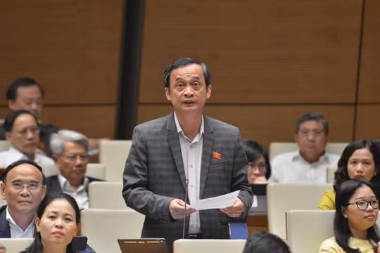 Học phí đại học có tác động rất lớn đến đảm bảo chất lượng đầu ra