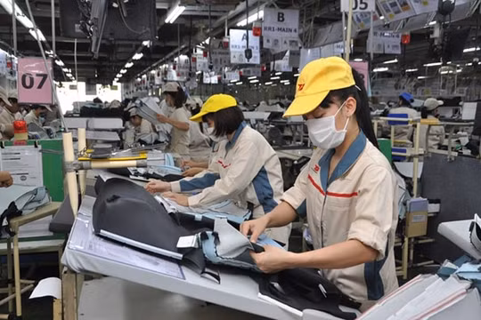 Lùi cải cách tiền lương để “dồn lực” cho các mục tiêu cấp bách hơn là quyết định đúng đắn