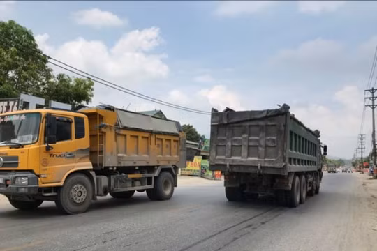 Gần 300 phương tiện vi phạm tải trọng bị xử lý trong tháng 9/2021