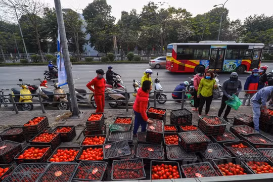 Bộ Công Thương: Đã có nhiều vướng mắc trong việc lưu thông, tiêu thụ nông sản vùng có dịch