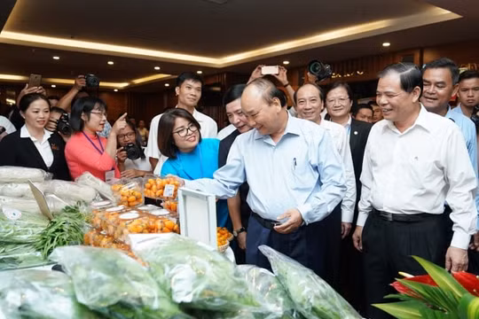 Tổ chức hoạt động “Tự hào hàng Việt Nam”, “Tinh hoa hàng Việt Nam”