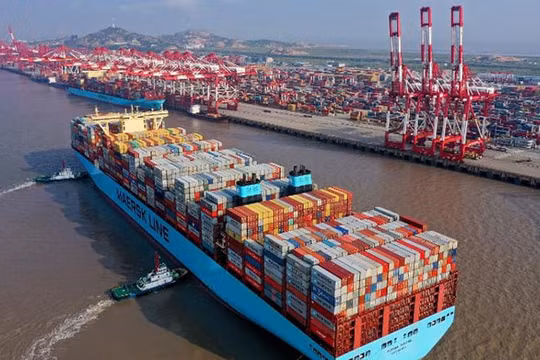 Kiểm tra giá cước dịch vụ vận chuyển container của 12 hãng tàu biển